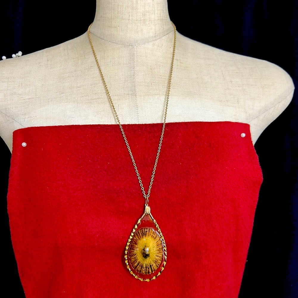 🖤Vtg Hawaiian Opihi shell pendant necklace - Picture 2 of 13